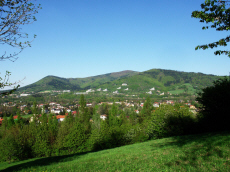 PANORAMA            